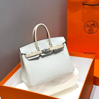 Hermès Birkin 25 Togo Gris Perle PHW