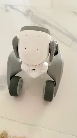 Loona pet robot