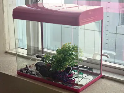 Fish Tank