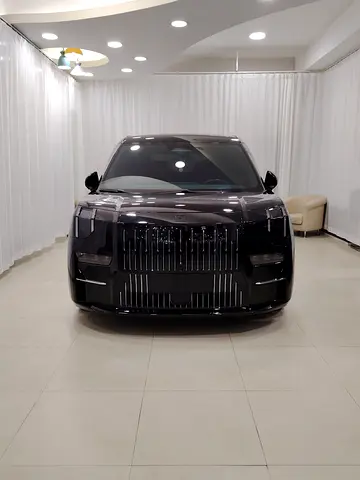 2023 Zeekr 009 照片 2