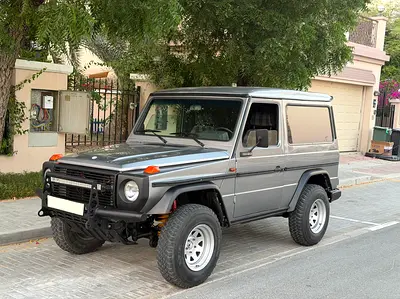 1989 Mercedes-BENZ G-CLASS — фото 1