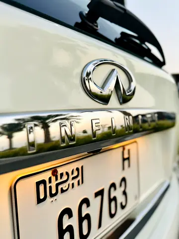 2013 Infiniti QX60 照片 15