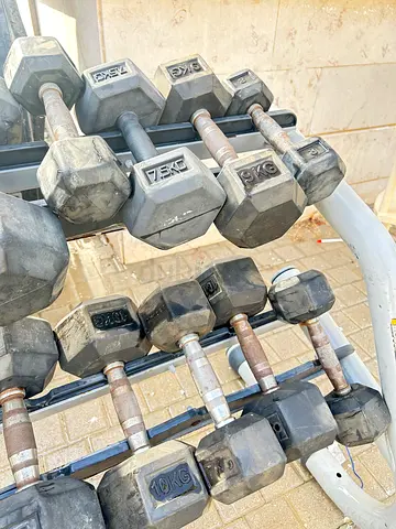 Premium Eleiko rubber dumbbells — assorted weights, used