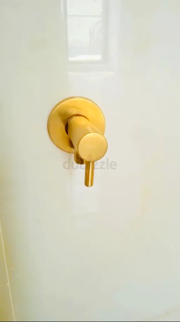 DPV_View_Image_1