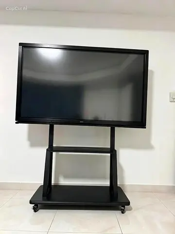 65 inch Flat Panel TV on a Mobile Stand — Good Condition stand but TV display needs to be fixed.