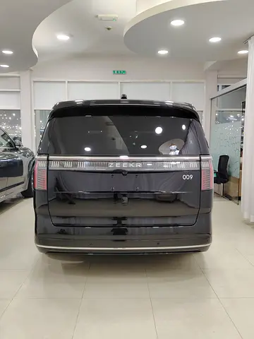 2023 Zeekr 009 照片 5