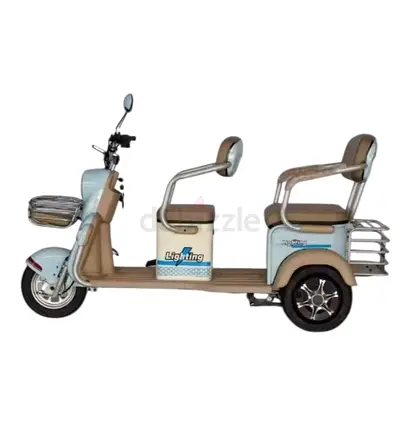 F7A Tri-Wheel 3 Seaters E-Bike with Luggage Space | Reverse Mode | Anti-Theft Feature
