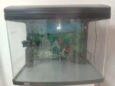 Used 60cm Aquarium Tank with Hood and Filter - Good Condition