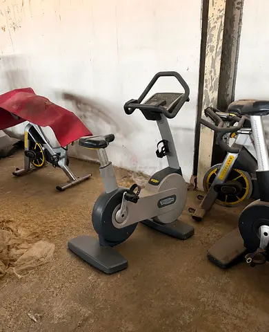 Technogym Upright Bike