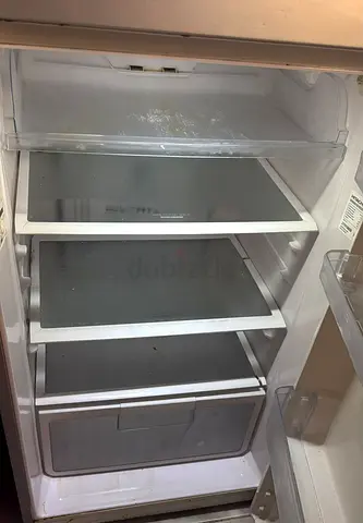 Hitachi Refrigerator with Adjustable Shelves