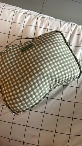 Baby portable Pillow