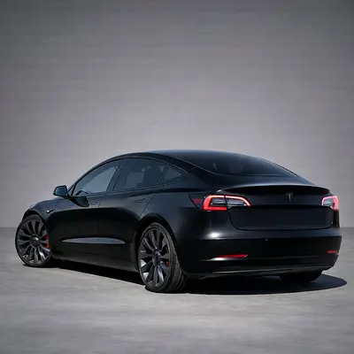 2021 Tesla MODEL 3 — фото 3