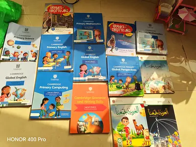 Year 5 curriculum
