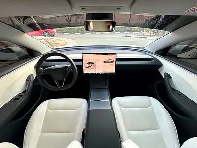 2024 Tesla MODEL 3 照片 10