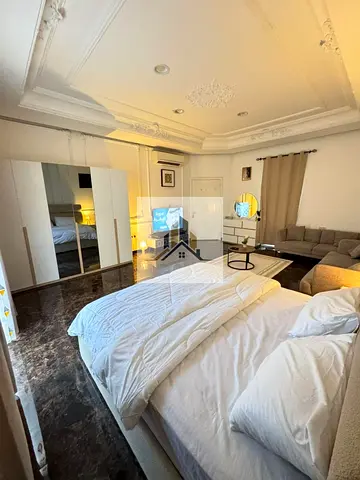 Brand New Fully Furnished Studio Monthly 3100 | Proper Sep Kitchen Sep Washroom Prime Location Riya
