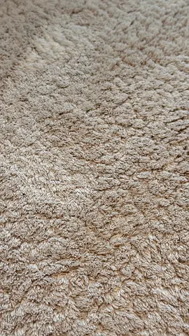 Dark beige soft carpet - 2x3 m