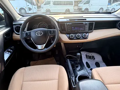 2017 Toyota RAV 4 照片 13