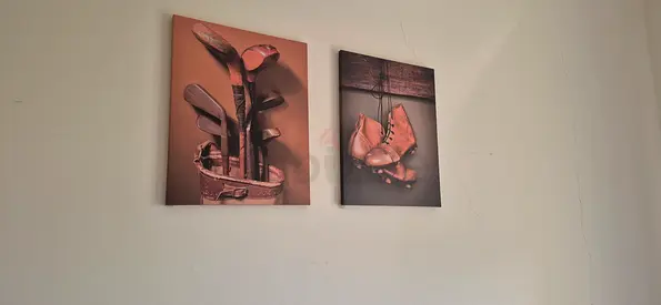 Wall paintings