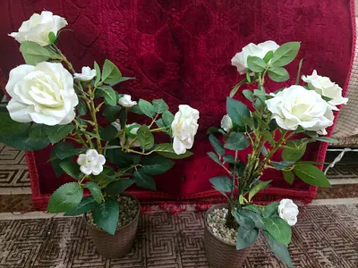 Artificial decor