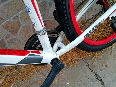 Cycle 27 inch