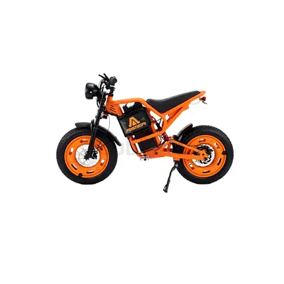 Aster X9 Mini Electric Dirt Bike With Fat tires