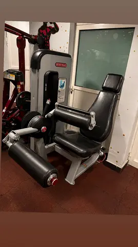 Star trac Seated leg curl -