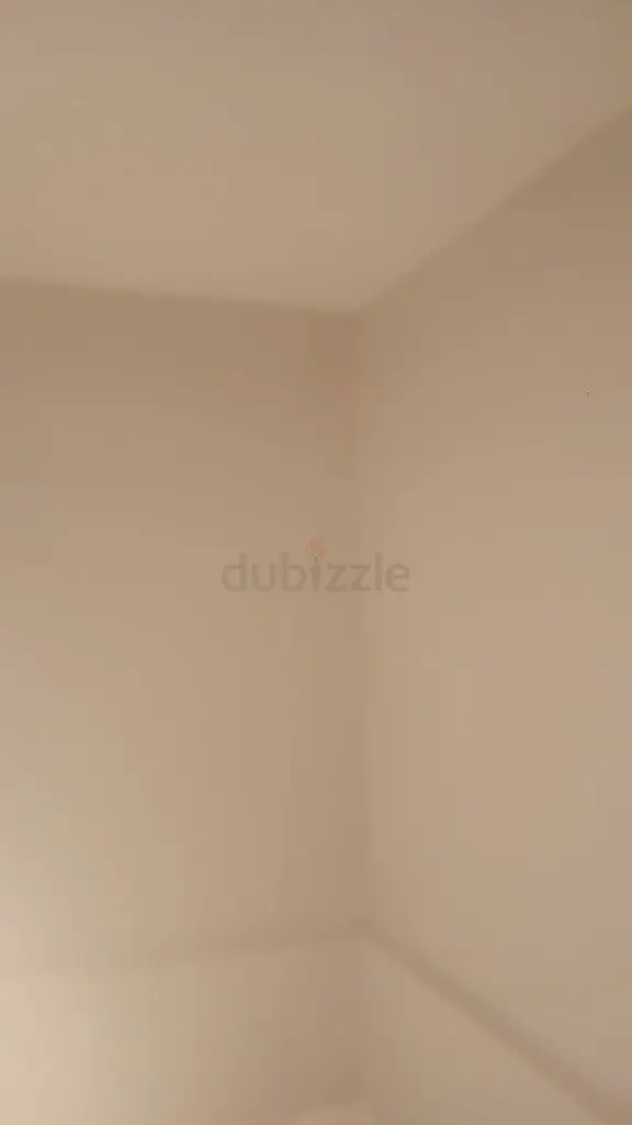 DPV_View_Image_4