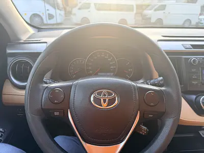 2017 Toyota RAV 4 照片 20