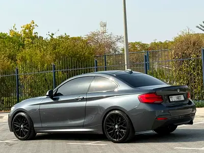 2018 BMW 2-SERIES 照片 9