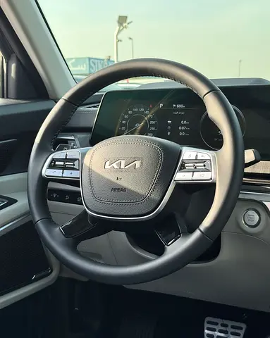 Kia Telluride GT-Line, миниатюра 19