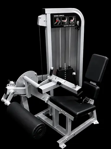 Hammer strength seated leg curl -