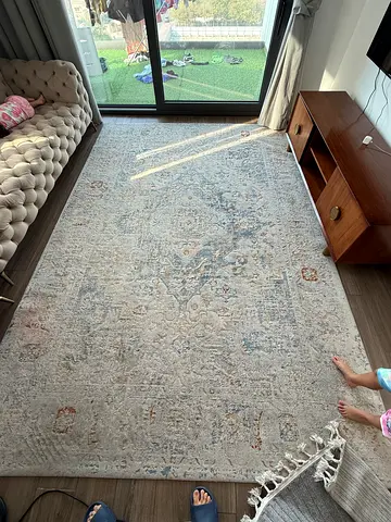carpet2.5*3.5