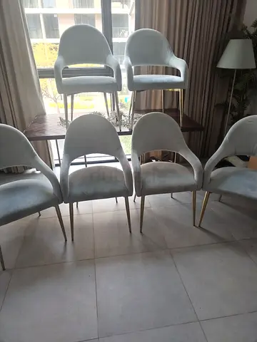 Dining Chairs