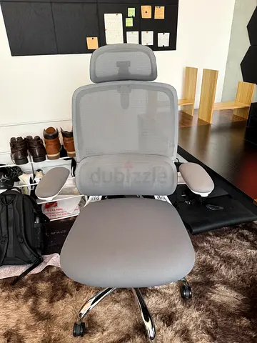 Gray Ergonomic Mesh Office Chair with Headrest and Adjustable Armrests