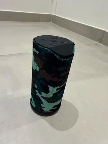 Speaker
