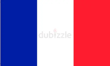 IB/ A-level/ IGCSE/KS3 French & German Tutor