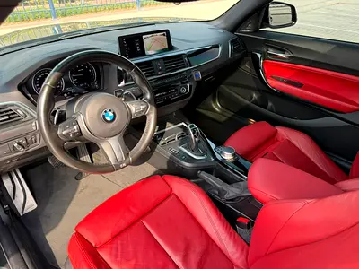 2018 BMW 2-SERIES 照片 13