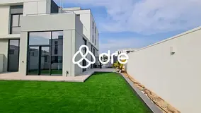 Massive Plot | Unreal Condition | Mid August