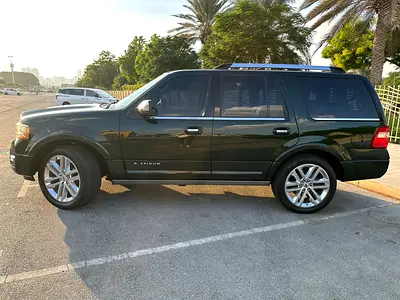 2016 FORD EXPEDITION 照片 2
