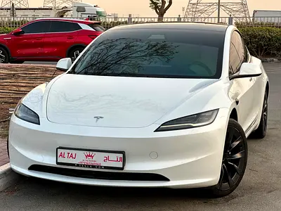 2024 Tesla MODEL 3 照片 4