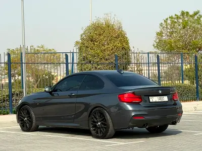 2018 BMW 2-SERIES 照片 10