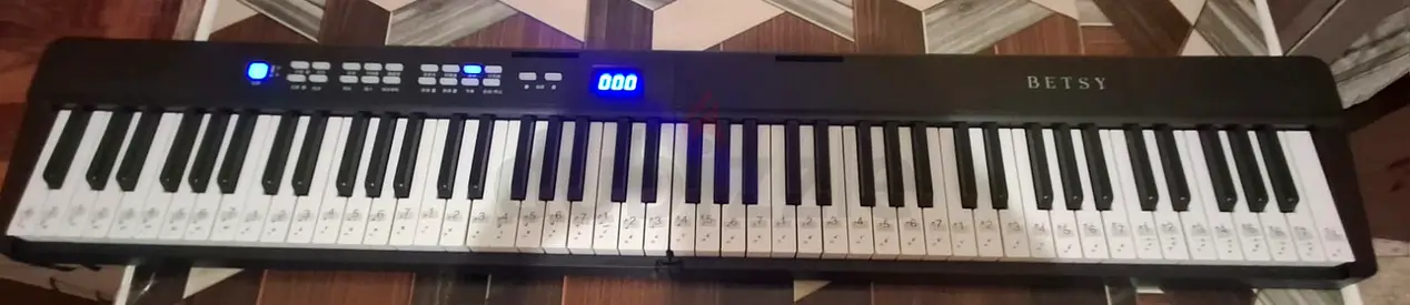 BETSY B100 Magnetic Portable Digital Piano