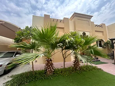 Palms,trees