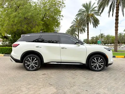 2024 Infiniti QX60 照片 8