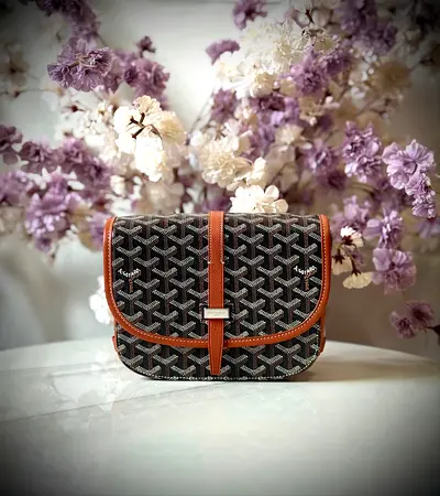 Goyard Belvedere pm bag in black