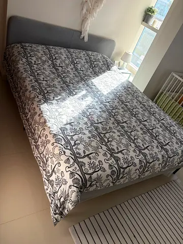 Queen bed+mattress+bed set