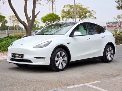 2024 Tesla MODEL Y 照片 2