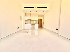 Species like brand new studio near to city center Al zahia price 31k