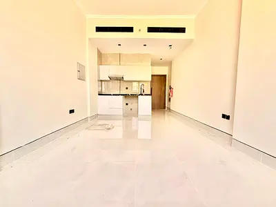 Species like brand new studio near to city center Al zahia price 30k