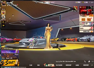PUBG Mobile account with premiumLoaded skins and vehicles —
